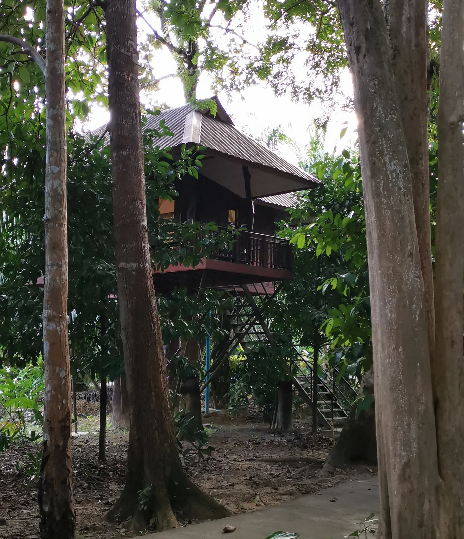 Treehouse rooms at Baan Khao Sok Resort, Thailand